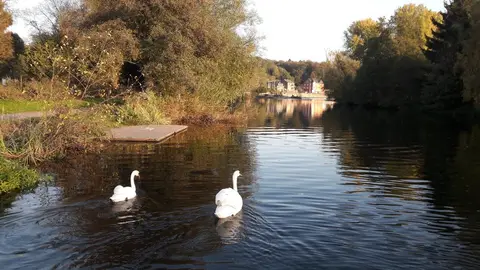 Wasserfreunde Ruhrmühle