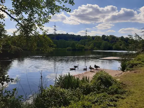Wasserfreunde Ruhrmühle