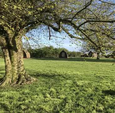 WigWam Crowtree