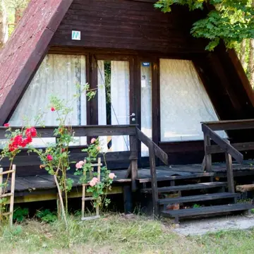 Czapla
