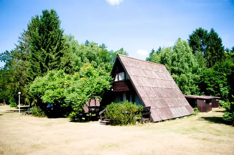 Czapla
