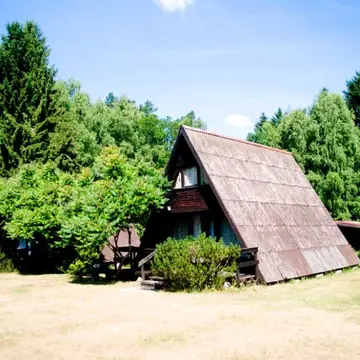 Czapla