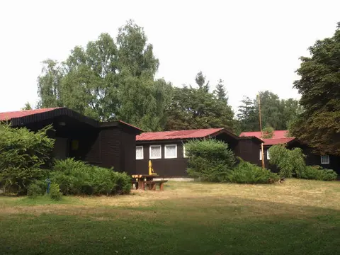Czapla