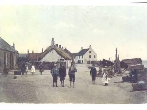 Wairds Park Campsite