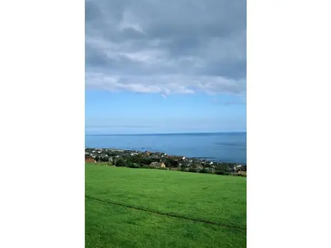 Wairds Park Campsite