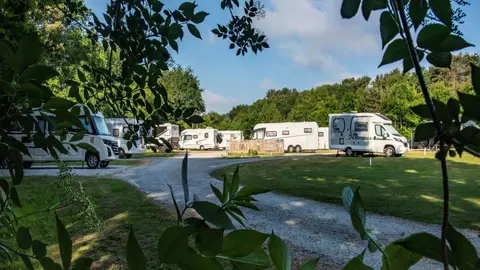 Delamere Forest Camping and Caravanning Club Site