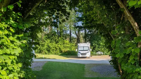 Delamere Forest Camping and Caravanning Club Site
