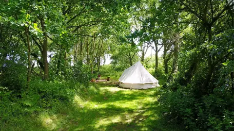 Dreamy Hollow Woodland Campsite & WW1 Trenches