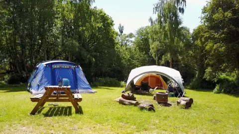 Dreamy Hollow Woodland Campsite & WW1 Trenches