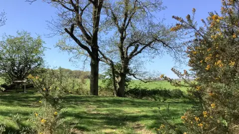 Dreamy Hollow Woodland Campsite & WW1 Trenches