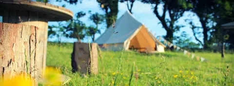 Skrinkle Bay Camping