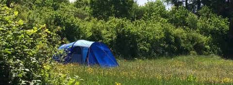 Skrinkle Bay Camping