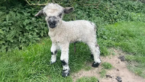 Crimdon House Farm