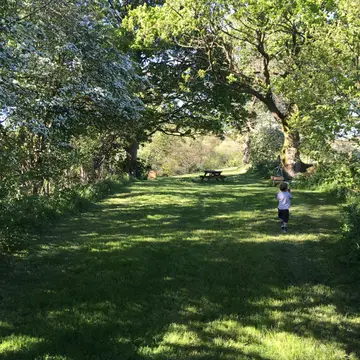 Camping at Banks