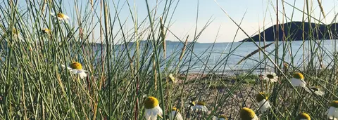 Seaview Caravan Park