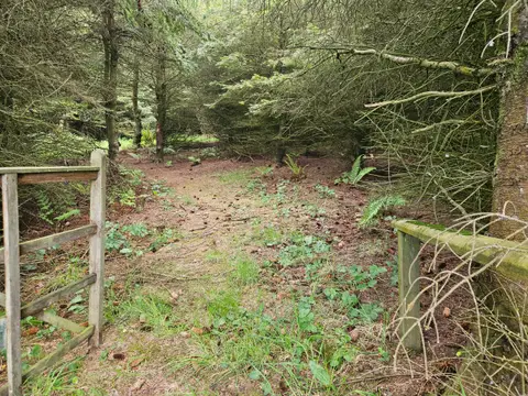 North Rhinns Camping