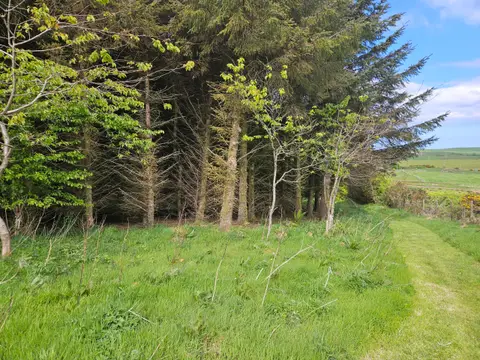 North Rhinns Camping