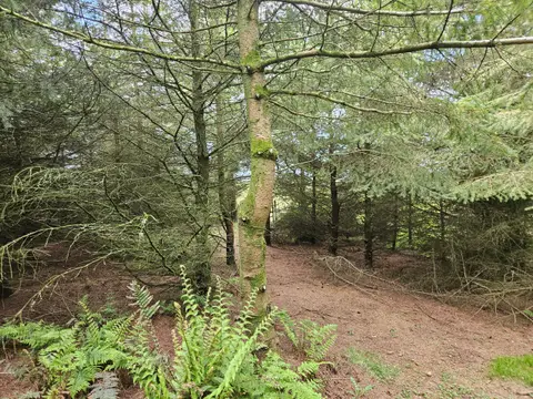 North Rhinns Camping