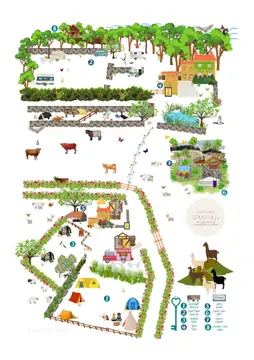 Wild Slack