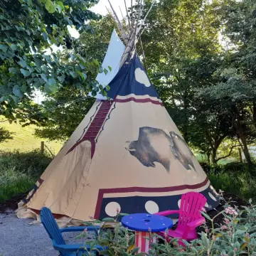 Dunbeacon Camping and Glamping