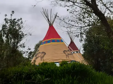 Dunbeacon Camping and Glamping