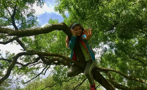 Dunbeacon Camping and Glamping