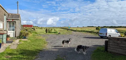 Fairview Camping