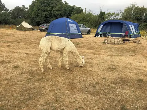 Two Jays Farm