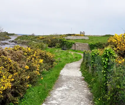 Easkey Camping Site