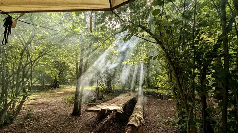 Nether Oaks Camping