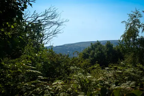 Curly Hill Campsite & Centre