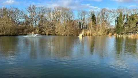 Steadings Park