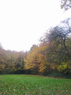 Thriftwood Scout Camp