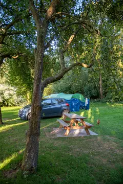 Island Meadow Caravan Park
