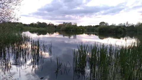 Ferry Meadows
