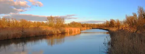 Buytenplaets Suydersee