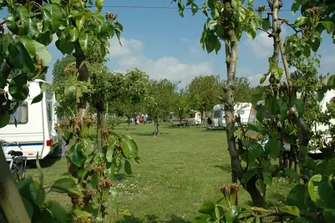 De Karekiet
