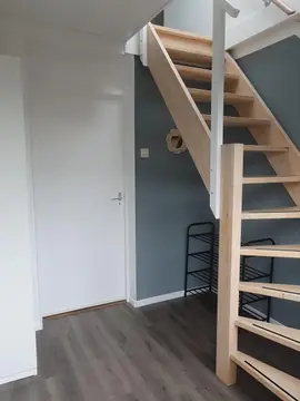 De Zwaluw
