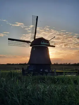 het Ananas