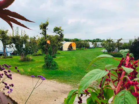 De Kampeertuin