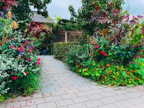 De Kampeertuin