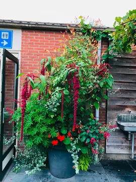 De Kampeertuin
