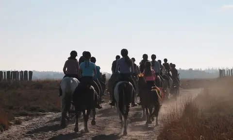 Manege Groepsaccomodatie Het Hoefke