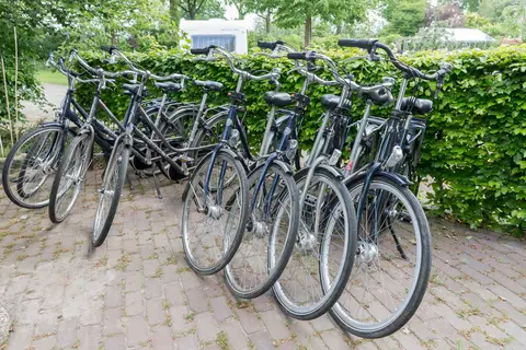 ut Paradeske
