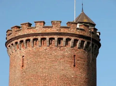 De biologische boer Tom Verkerk