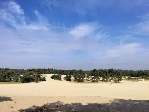 De Kraanvensche Berg