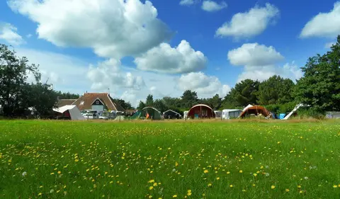 Dennedune