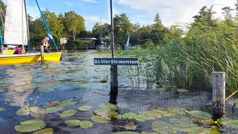 De Vier Elementen