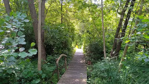 Amsterdamse Lichtbond Naturistenvereniging Dagrecreatie