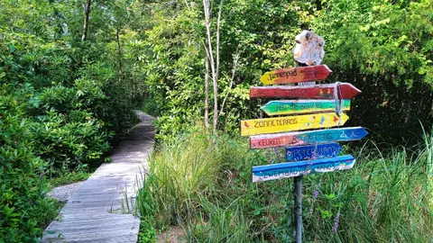 Amsterdamse Lichtbond Naturistenvereniging Dagrecreatie